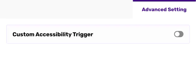 Advanced settings toggle for custom accessibility trigger