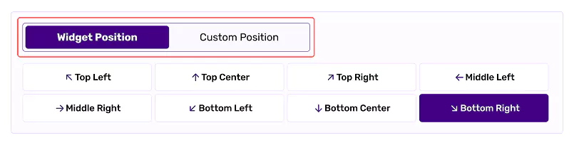 All in One Accessibility dashboard with widget position