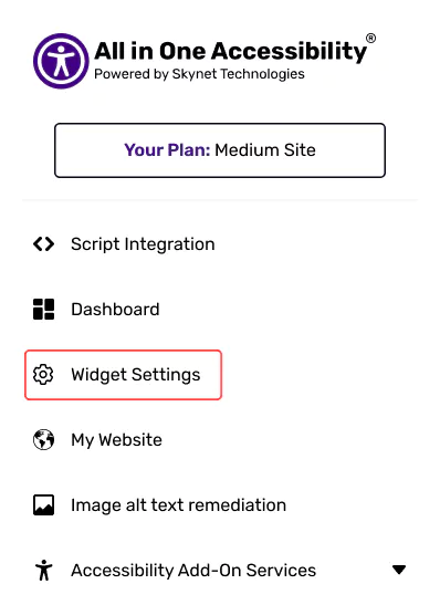 All in One Accessibility dashboard sidebar with Widget Settings highlighted